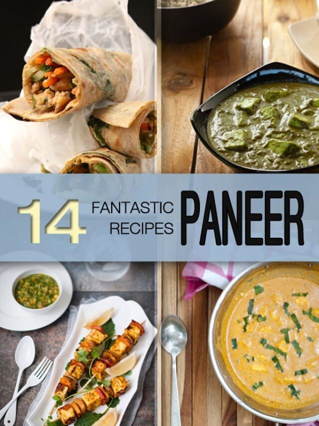 13 Best Paneer Recipes | Easy Paneer Recipes | Popular Cottage Cheese Recipes