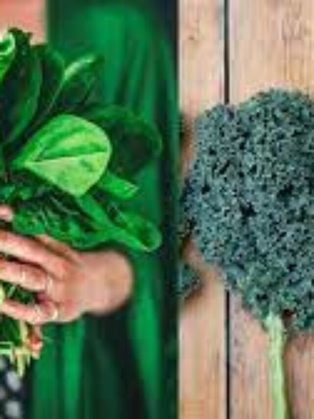 Comparing kale and spinach: What are the health benefits